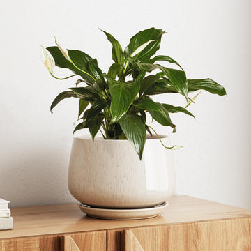 Ceramic Planter, 10 Inch, Large Plant Pot, Reactive Glaze Beige