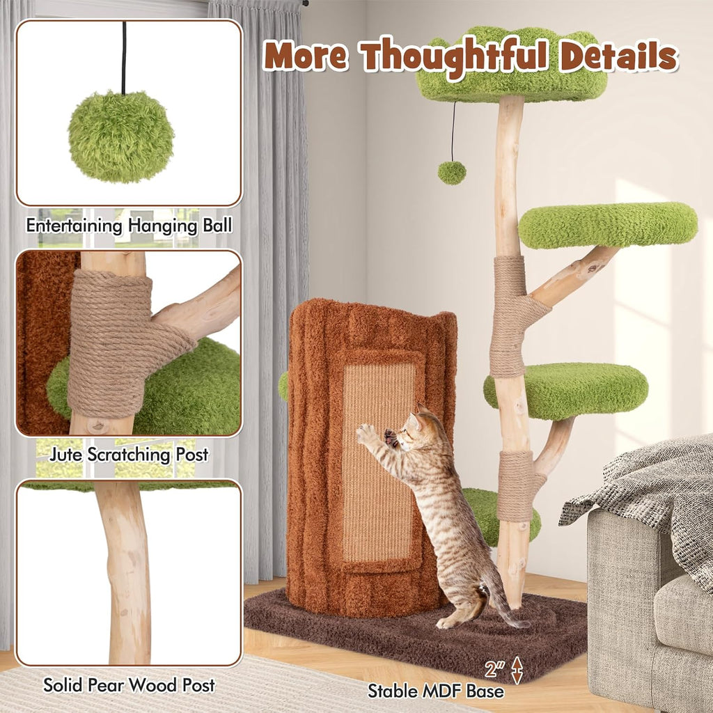 Solid Wood Cat Tree, Cute Cat Tower with Scratching Posts, 2-Tier Tree Hole Cat Condo, Wood Branches, Sisal Panel