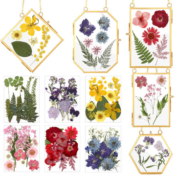 5 Pcs Glass Frame for DIY Pressed Flowers Art Brass Hanging Photo Picture Frame with Chain and 6 Styles Pressed