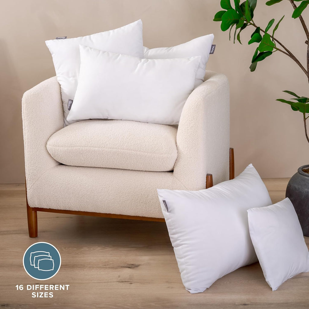 Throw Pillow Insert 22 x 22 Inches (, White) - Set of 2