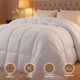 Comforter Duvet Insert, Quilted Comforter with Corner Tabs, Box Stitched Down Alternative Comforters Queen (White)