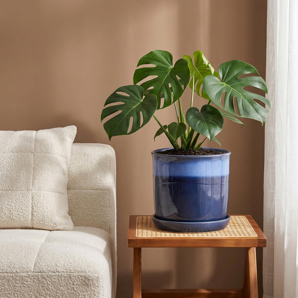 8 Inch Ceramic Plant Pot with Bonded Saucer & Drainage Hole, Large Modern Blue Flower Planter for Indoor Outdoor