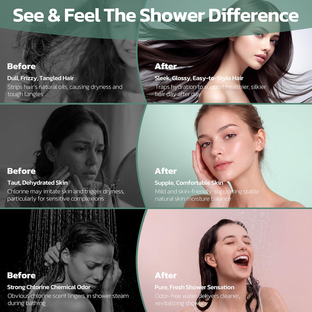 Filtered Shower Head with Handheld, High Pressure 9 Spray Modes