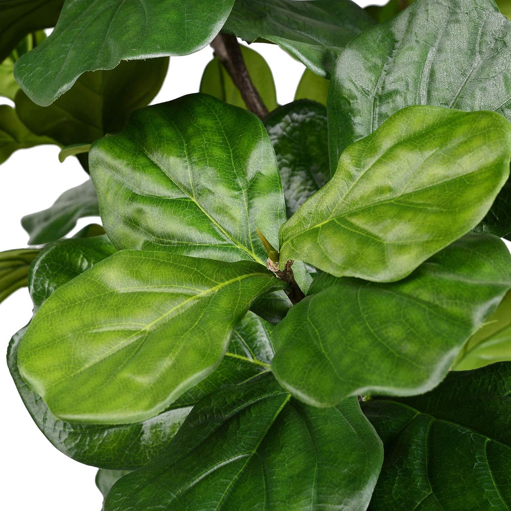 8ft Artificial Potted Fiddle Tree - 114 Large Fiddle Leaves - Green Silk - Artificial Indoor Fiddle Plant - Single
