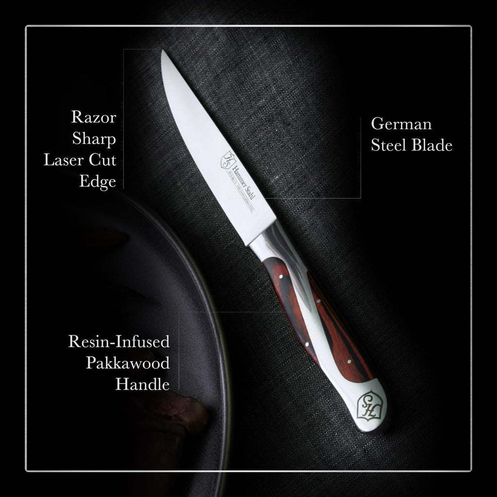Stahl Steak Knives Set Of 4 | High Carbon German Steel Kitchen Knife Set | Stainless Steel Knife Set With Ergonomic