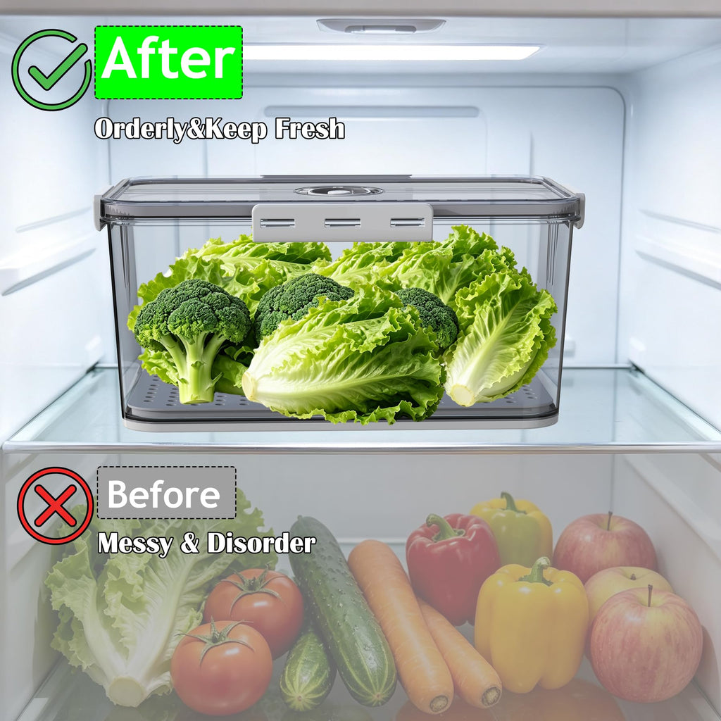 Clear with Lid,Time Recording Airtight Bread Container Grey