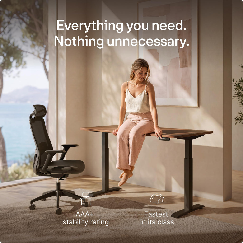 HomeOne Standing Desk 48x24 - Ergonomic Sit Stand Home Office Desk, Made in Europe, Electric Dual Motor Height