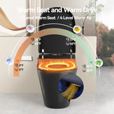 Smart Toile,One Piece Toilet with Bidet Built In,Dryer & Warm Water