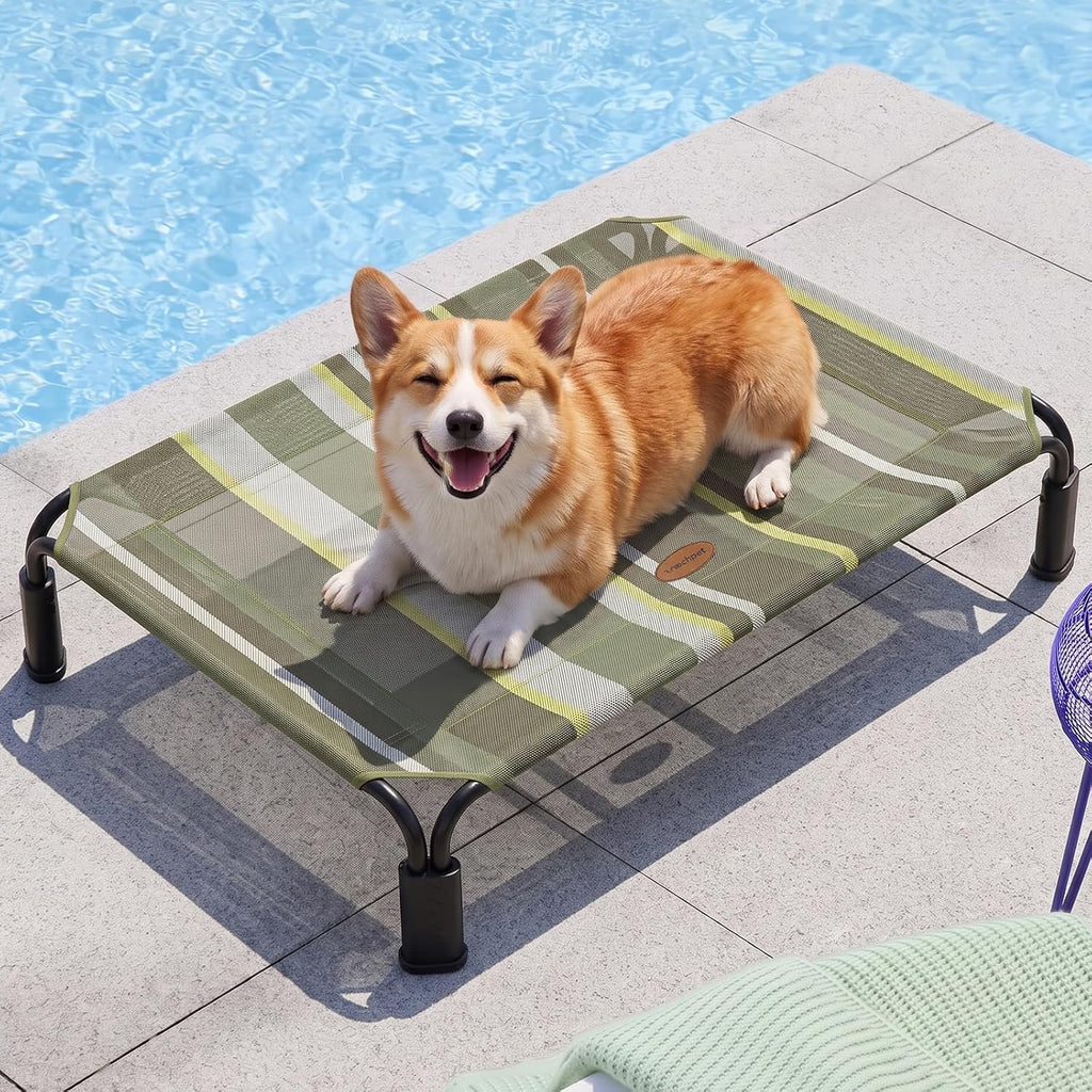 Outdoor Elevated Cooling Dog Bed Raised Dog Bed for Medium Dogs