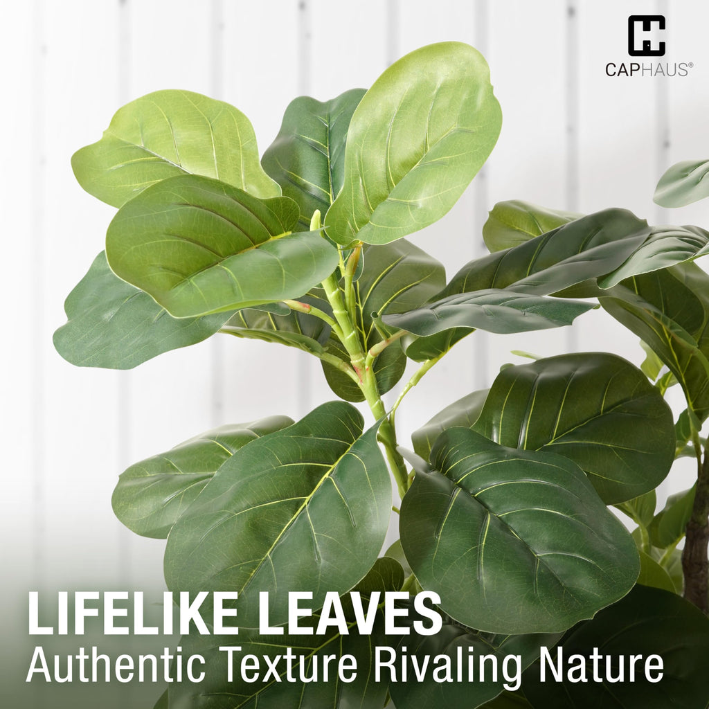 Artificial Fiddle Leaf Fig Tree, 6/7 Feet in Pot with Dried Moss, for Indoor House Home Office Store, Potted Ficus