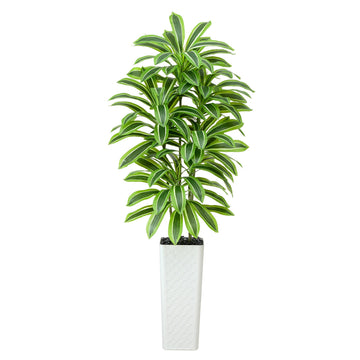 Artificial Dracaena Tree: 7FT Fake Plants Silk Faux Trees(White Pot)