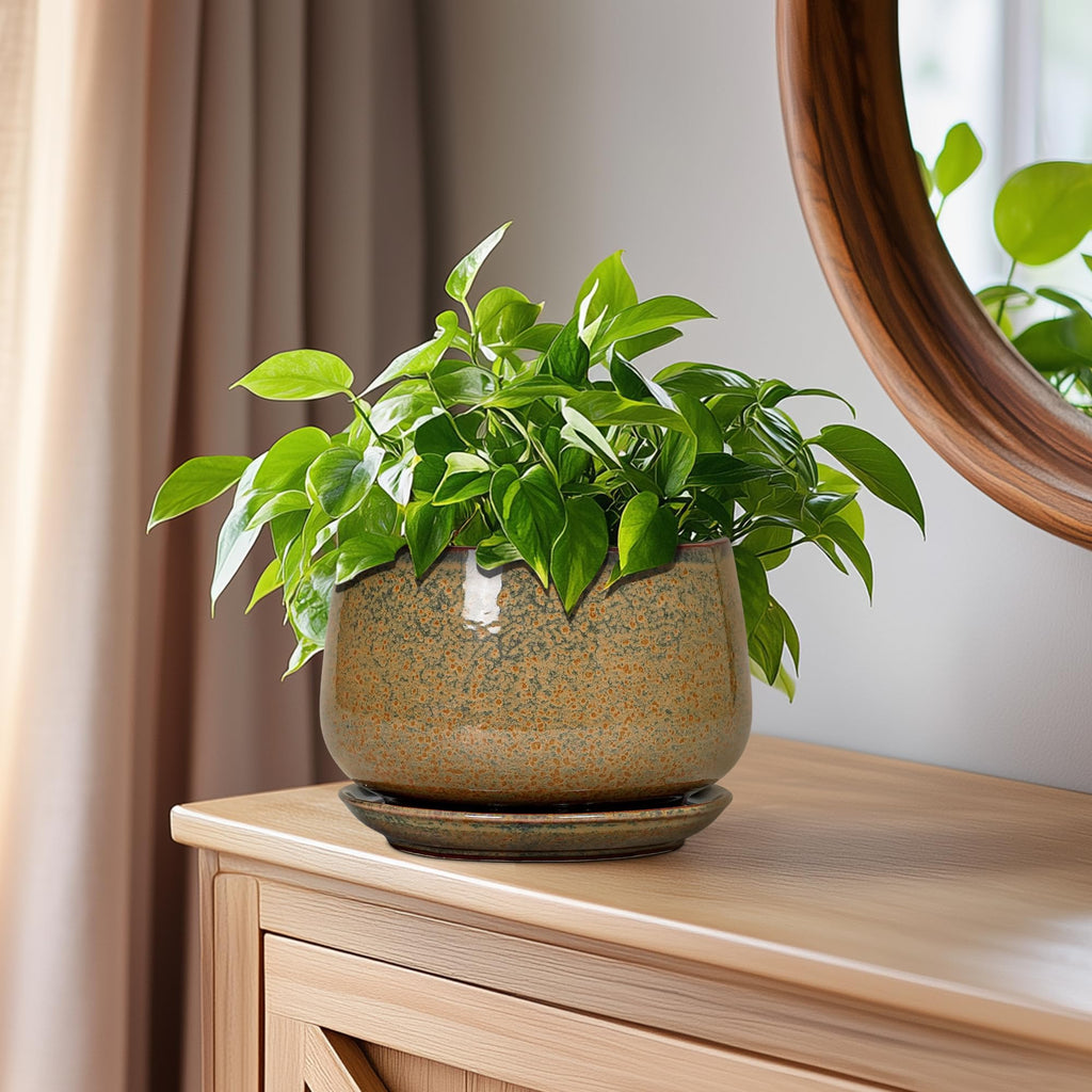 6 Inch Plant Pot - Ceramic Succulent Pots with Drainage and Ceramic Tray, Round Planter for Indoor Outdoor Plants