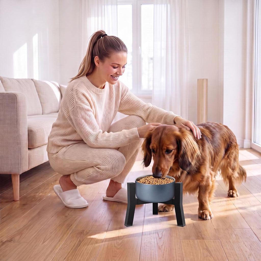 Adjustable Single Elevated Dog Bowl Stand, Lifted Holder No Bowls