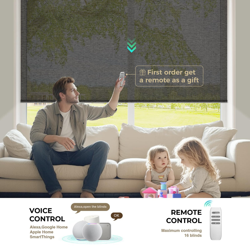 Motorized Blinds with Remote, Light Filtering Smart Roller Shades