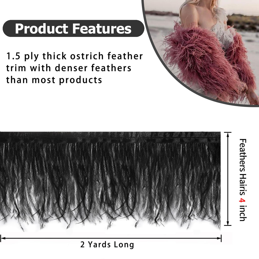 Black Ostrich Feather Trim, 4 Inch 2 Yards