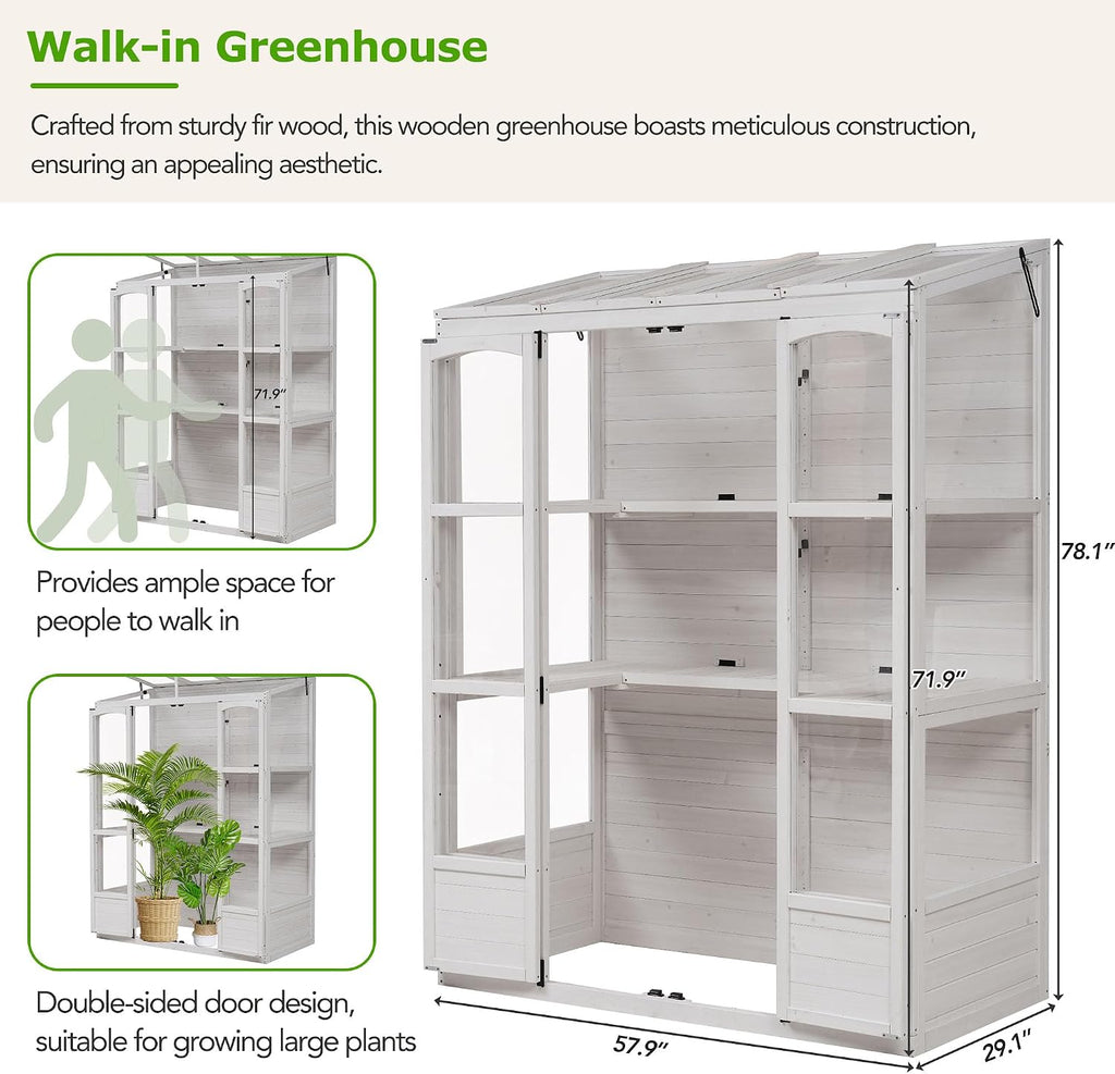 78-inch Wooden Greenhouse Cold Frame with 4 Independent Skylights and 2 Folding Middle Shelves, Walk-in Outdoor