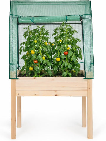 Expressions 36"x24" Elevated Garden Bed with Greenhouse Cover - Raised Wooden Planter Box with Legs, Mini Outdoor
