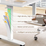 55 Inch Large Electric Standing Desk,Sit to Stand Up, Heights Adjustable, Work Home Office Computer Table for Study