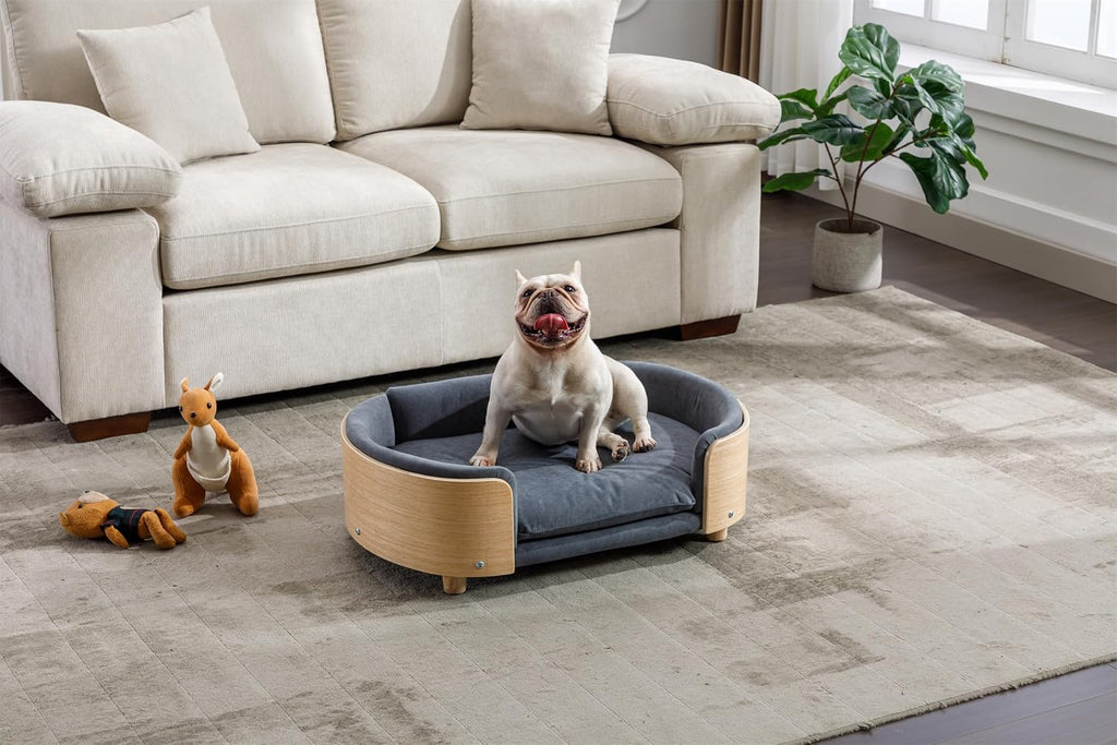 Scandinavian Style Elevated Dog Bed Pet Sofa with Solid Wood Legs and Bent Wood Back, Velvet Cushion, Mid Size, Dark