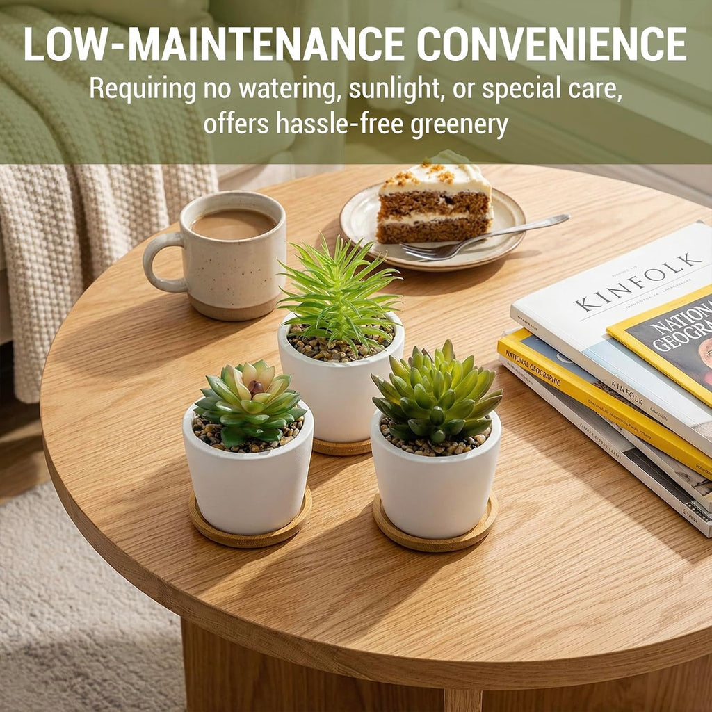Mini Artificial Succulent Plants in Ceramic Pots, Set of 3