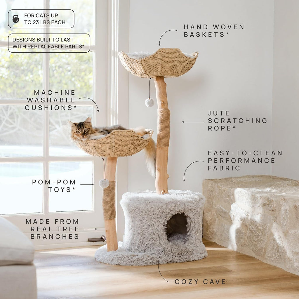 Modern Cat Tree Tower, Real Branch Wood Condo for Large Cats