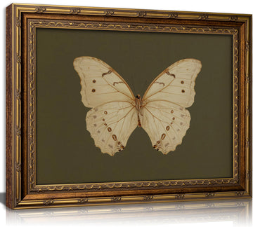 Vintage Gold Framed Wall Art Retro White Butterfly Canvas Print Dark Green Olive Insect Painting Picture Rustic