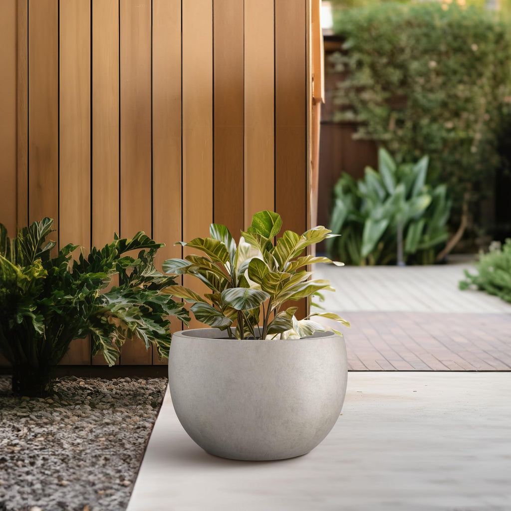 7.9" Tall Round Bowl Concrete Planter, Weathered Finish