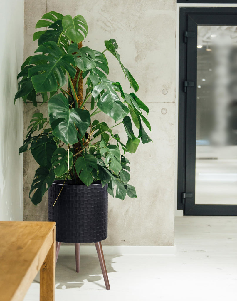 Planter Pot with Wood Stand, 14 in, Matte Black