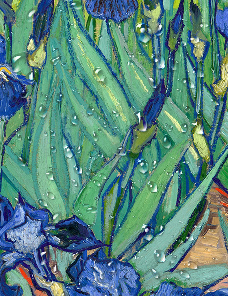 Irises in the Garden, Vincent Reproduction. Giclee Canvas Prints Wall Art Decor 30x24
