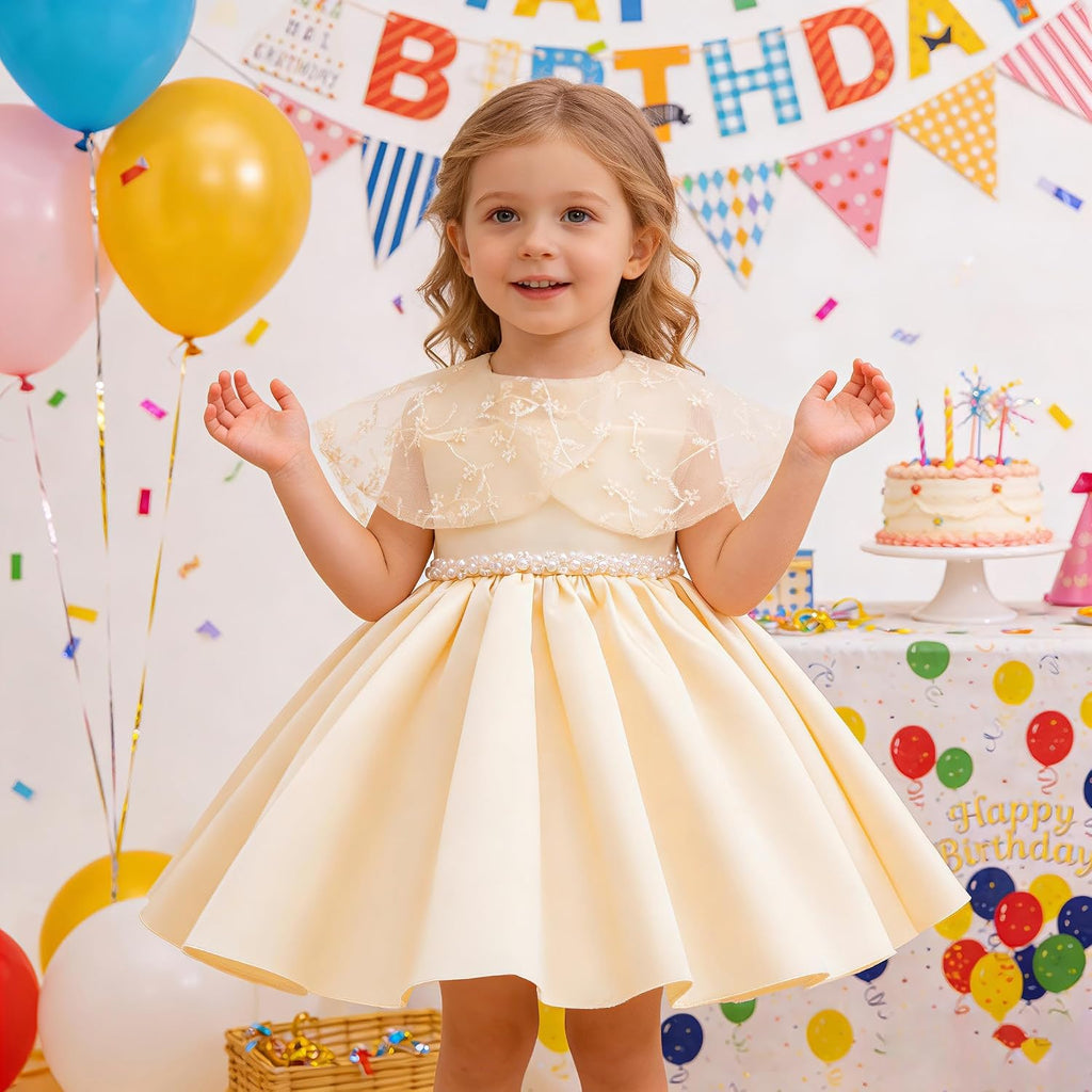 Toddler Baby Flower Girl Dress Wedding Pageant Birthday Party Lace Embroidered Formal Ball Gown Dresses