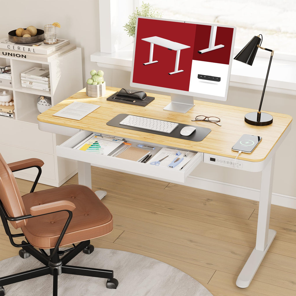 Standing Desk with Drawer, Electric Height Adjustable Home Office Desk with Storage & USB Ports, 48 inch Bamboo