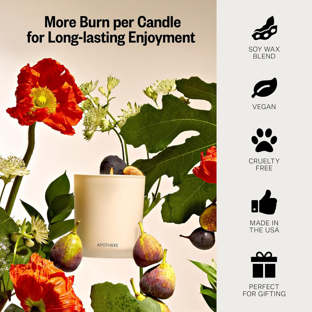 Signature Scented Candles, Fig and Olive Leaf - 10.5 Oz