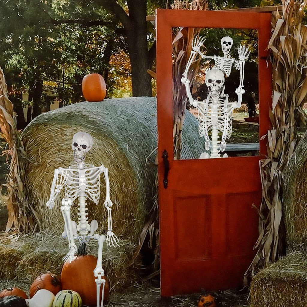 5.4ft Posable Halloween Skeleton - Full Body Life Size Skeleton Bones with Movable Joints for Halloween