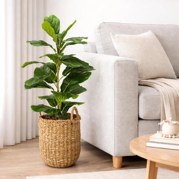2.5 ft Artificial Fig Tree Plant in Basket, Faux Fiddle Leaf Fig Indoor Plant Decor, Realistic Designer Fake Potted