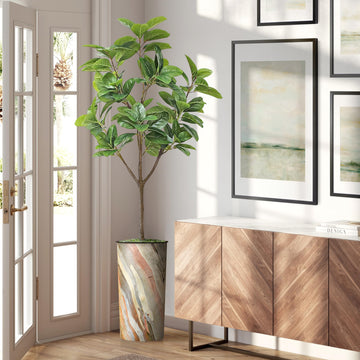 Tree in Modern Contemporary Planter, Fake Rubber Silk TRE for Indoor and Outdoor Home Decoration - 70" Overall Tall