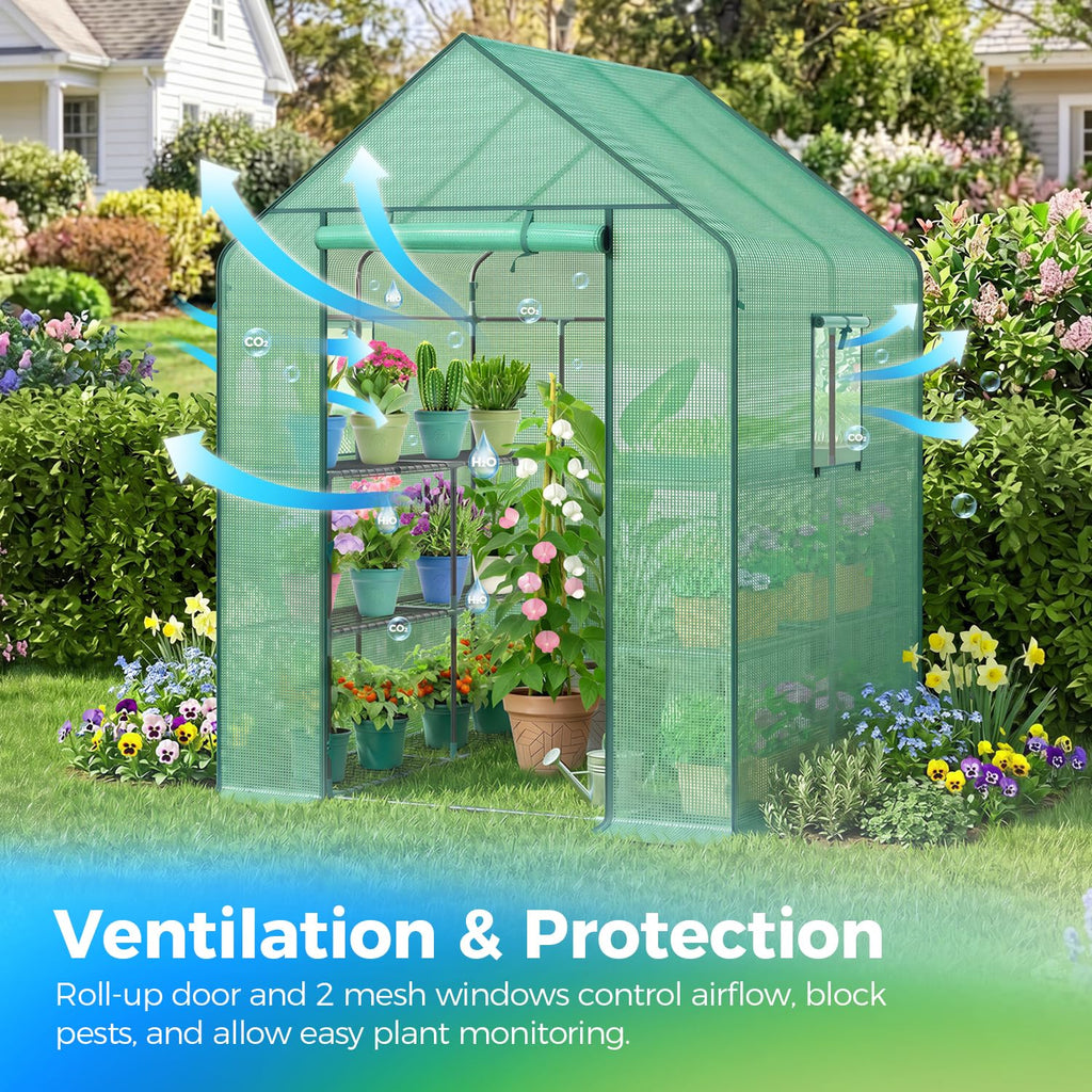 Greenhouse for Outdoors with Screen Windows, 57 x 57 x 76'' Walk in Plant Greenhouses Heavy Duty with Durable PE