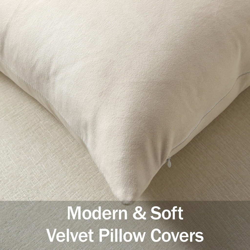 Euro Sham Covers 24x24 Cream: Pack of 2 Cozy Soft Velvet Square Modern Luxury Decorative Throw Pillow Cases for Sofa