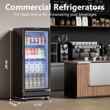 6 Cu.Ft Commercial Refrigerators, Display Fridge with Double-Tempered Glass Door