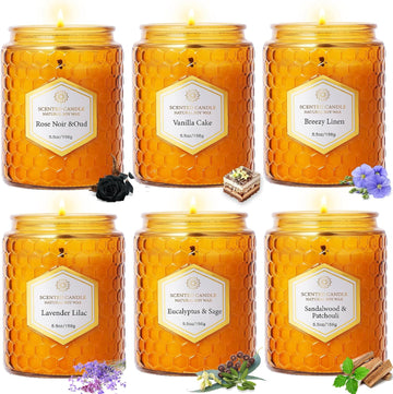 Natural Soy Wax Jar Candles, Scented Aromatherapy Gift Set for Women, 33 oz 240 Hour Long Lasting Candles - Set of 6