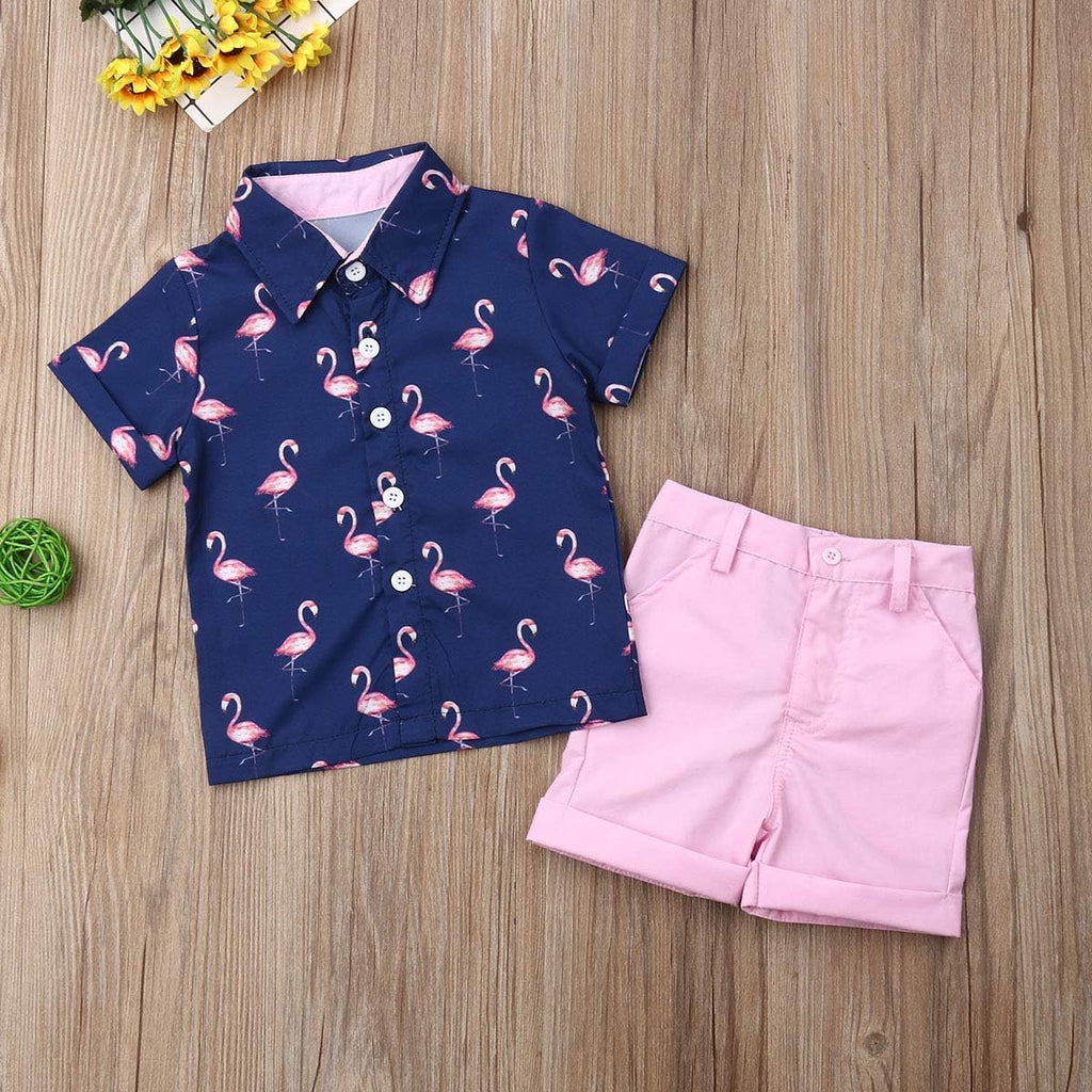 Toddler Baby Boy Flamingo Short Sleeve Button Down Shirt & Casual Shorts Set Summer Outfits Clothes