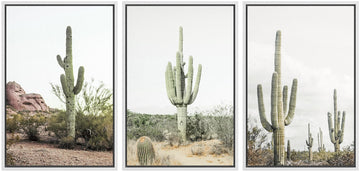 Framed Canvas Print Wall Art Desert Landscape, Southwest Cactus Desert Landscape, Cactus Print, Botanical Flower