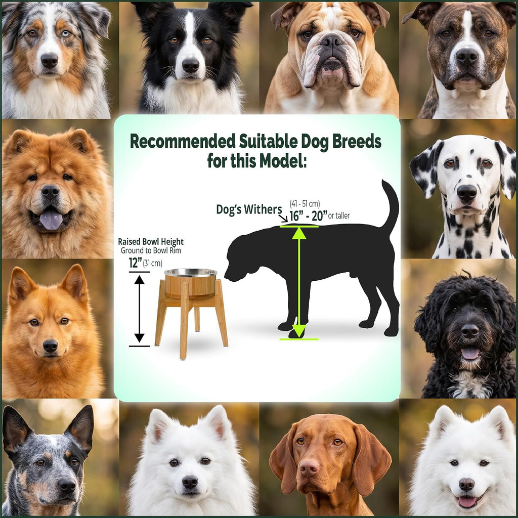 Elevated Dog Bowl for Mid-Large Dogs, 12-Inch Bamboo Stand, 64-oz