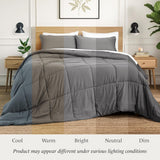 Ivy Union Queen Comforter Set - Comfy, Breathable, All Season - Down Alternative Comforter & Shams