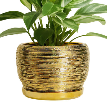 Ceramic Flower Pot - 8 Inch Plant Pot Indoor Outdoor, Round Planter with Drainage Hole and Saucer, Decorative Modern