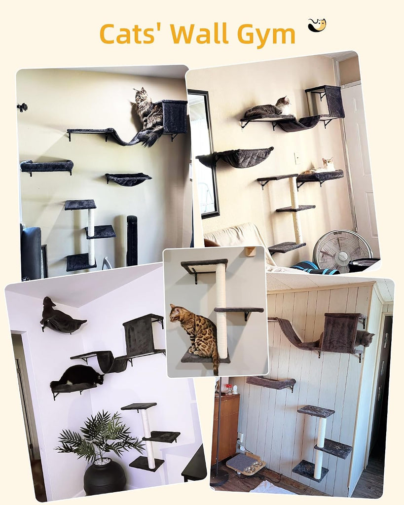 Heavy Duty Cat Wall Shelves for Large Cats, 5-in-1 Cat Furniture