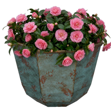 Shaina Resin Planter, Pottery Finish Garden Pot, 15" Patina Copper