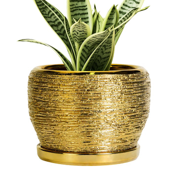 Ceramic Planter - 6 Inch Plant Pot Indoor Outdoor, Modern Round Planter with Drainage Hole and Plant Saucer