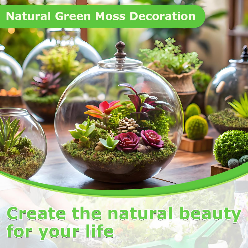 1.3LB Green Moss for Plants Indoor, Craft Moss for Fake Plants Decor