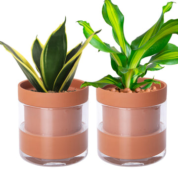 6 Inch Self Watering Planter Pot, Terracotta Clay Pot with Glass Reservoir for Indoor Plants, Herbs, Flowers, Set of