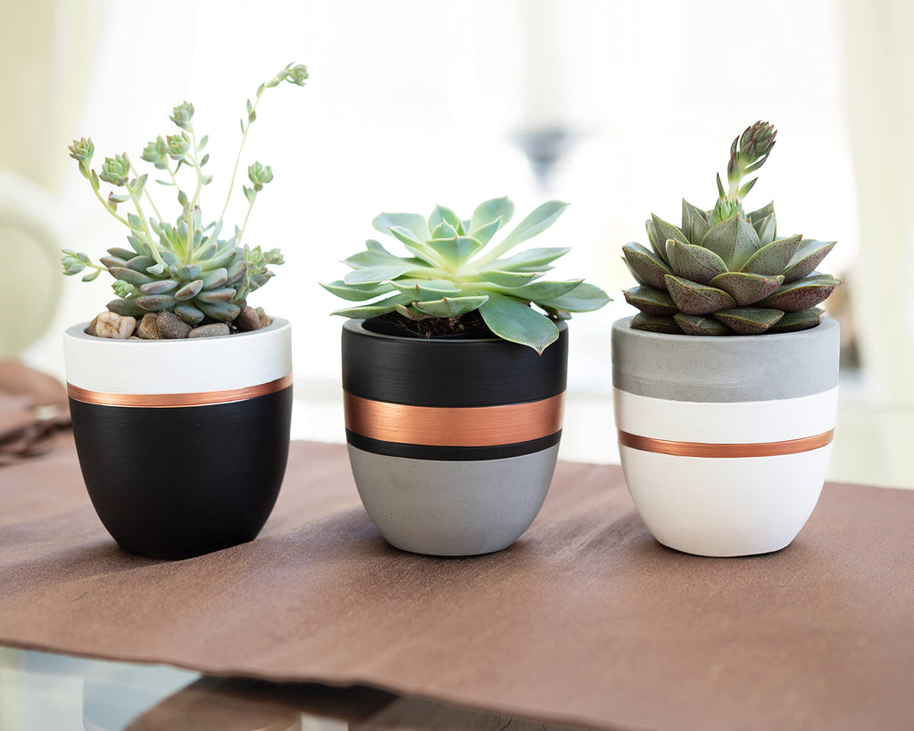 Hand Painted Indoor Plant Pots, Set of 3 Modern Cement Succulent Pots with Drainage, Best Planters for Cactus, Herbs